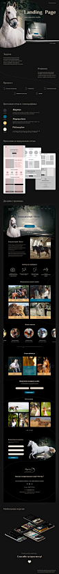 horse horse club landing landing page верховая езда конь лендинг лошадь одностраничный сайт