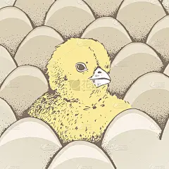鸡蛋和鸡海报