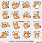 line贴图表情包狐狸很可爱|The fox is cute 狐狸很可爱，|The fox is cute.@飞天胖虎