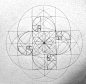 fibonacci sequence phi spirals - anon: 