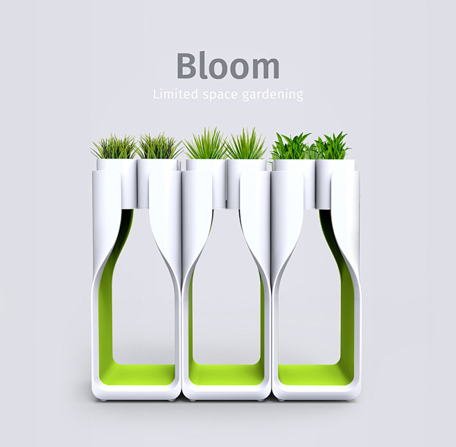 Bloom, limited space...