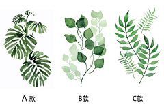 ooooooo·采集到文艺植物插画