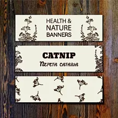 3款手绘猫薄荷banner矢量素材