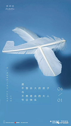冰岛的极光采集到节气海报