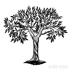 树雕刻的搜索结果_360图片