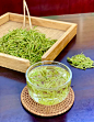奶白茶 安吉白茶