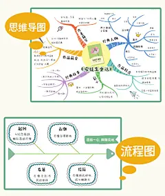 2023秋视觉笔记快乐读书吧三年级四年级五年级六年级上册语文人教版小学必读课外书全套名著导读配套同步阅读理解思维导图阅读书籍-tmall.com天猫