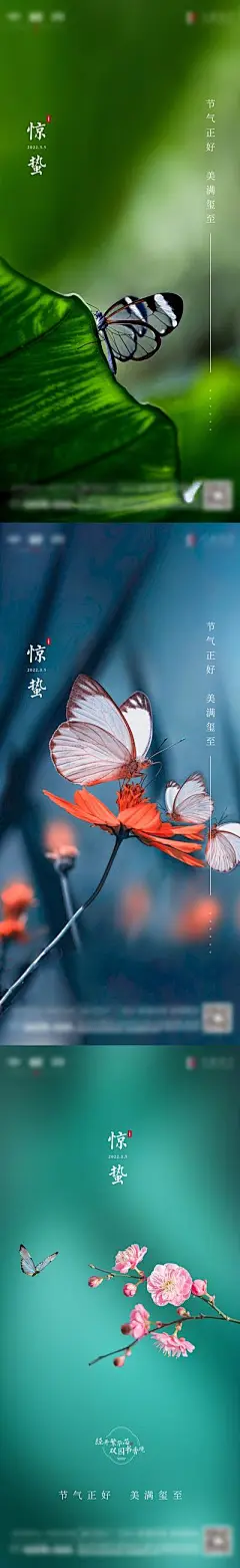 【南门网】海报 地产 二十四节气  惊蛰 立春   品质  蝴蝶 蜻蜓