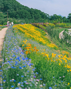 花绽采集到D-道路边坡护坡、盘山道