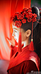 angelababy的照片 - 微相册