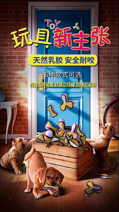 李洋昌采集到宠物店宣传单张