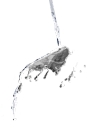雨水