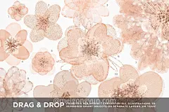 手绘水彩羽毛图案设计背景 Feathery-Watercolor-DIY-DesignKit #374096-设计元素-@美工云(meigongyun.com)
