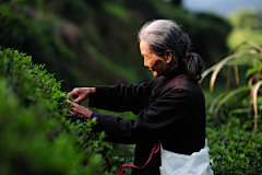 盒立方包装包一达采集到茶人美