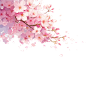 花瓣素材_植物通用粉色樱花插画花枝飘花瓣元素素材_193456052