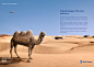 Rolls Royce : Recent advertising commission for Rolls Royce.