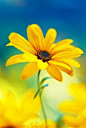dc4ca3e87f0ae7e88c28ca8a02aaff406aaea8e77d3c-oZcaPE_fw658
