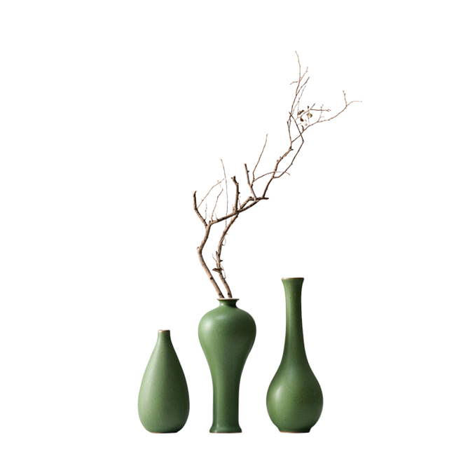 盆栽、盆景、植物png