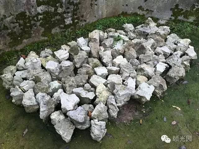 吴定石菖蒲制作全过程，值得收藏！