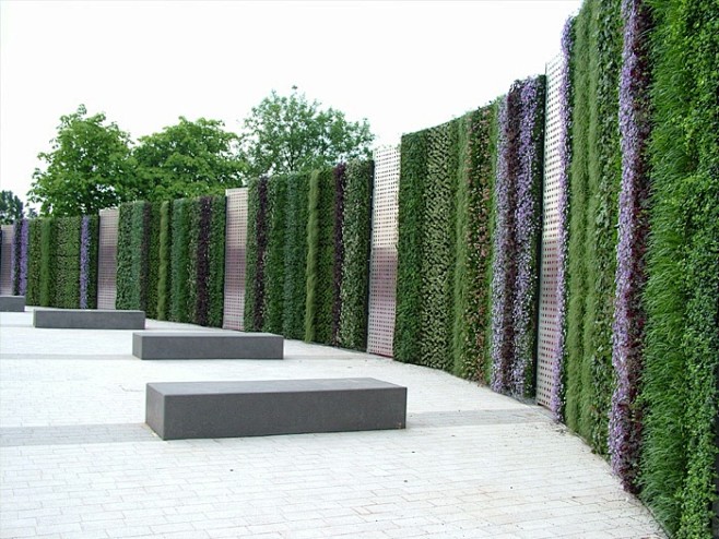 Living wall by Scots...