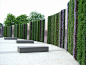 Living wall by Scotscape Living Walls