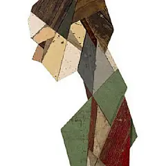 来自艺术家 Stefaan De Croock 将废弃的木板从新组合成人像艺术作品~ O绿洲 ​​​​