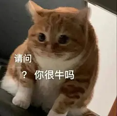 喜欢的表情包来了搞笑表情包无水印​​​