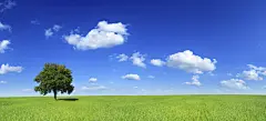 精美风景图片高清图片