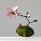 Scoria-Magnolia-_NZ_2048x