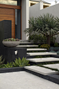 Branksome | Tim Davies Landscaping Contemporary Landscape Design Succulent plants: 