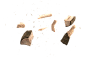 木头碎片#Autism!#