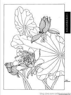 图赏：工笔画线描花卉画谱