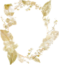 来自分享