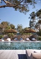 Pool | Corona Test | CGI