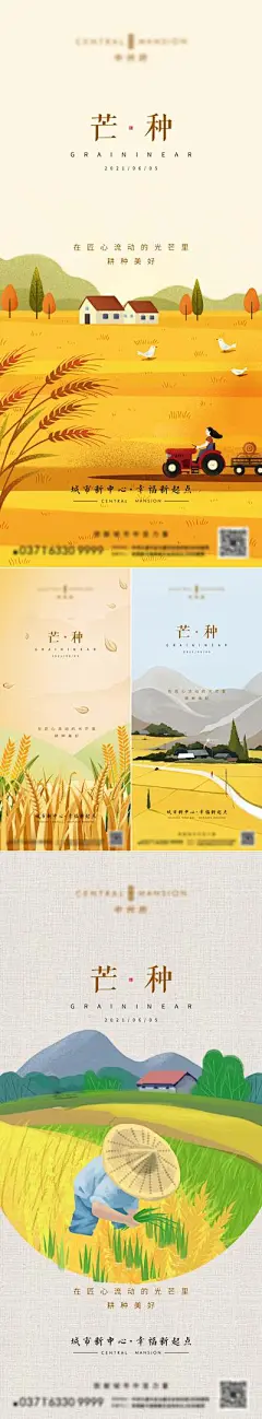 【南门网】海报 二十四节气 芒种 麦子 田野 稻田 手绘 系列