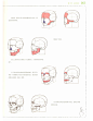 人体结构原理与绘画教学_55