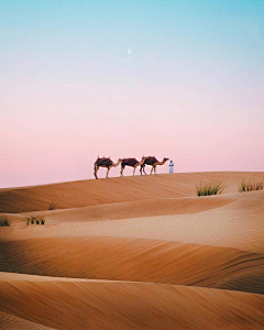 又单又采集到人生旅途❤️灯红酒绿