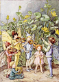 Cicely Mary Barker , "The Fairy Orchestra" (variant 2) | Flickr - Photo Sharing!