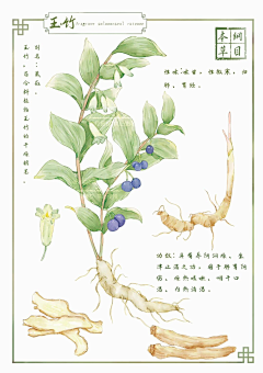 九月的星星采集到插画