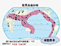 世界石油分布地图