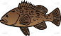 石斑鱼鱼