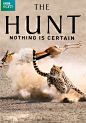 [2015][英国][记录][1080P超清]猎捕 The Hunt#电影资源分享#