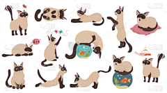 城南柒采集到猫咪