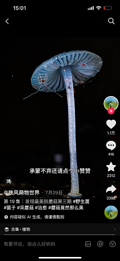 8ZzwQUPy采集到自然万物植物动物