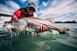 fishing: 2 thousand results found in Yandex Images