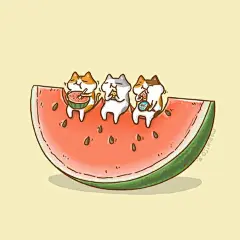 分享一波小可爱～#壁纸#
好喜欢小猫咪啊～ ​​​​