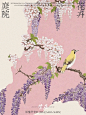 庭院花卉｜紫藤