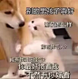 煎蛋4小时热榜
