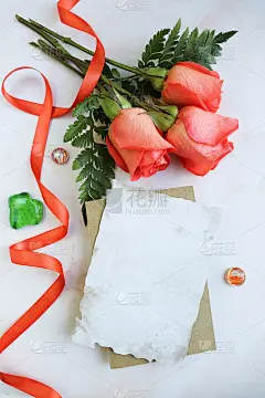 美丽的玫瑰花束和白色空白的文字