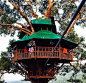 Tree House，你想（gan）住吗？#旅行#